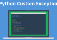 Python raise custom exception
