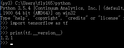 python check tensorflow version
