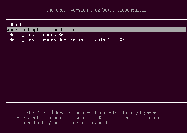 ubuntu advanced options