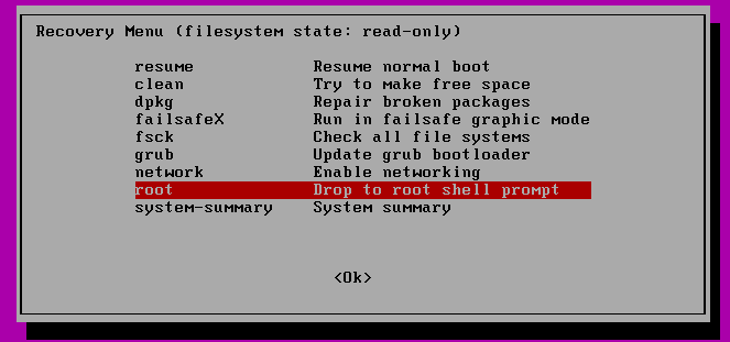 ubuntu root shell prompt