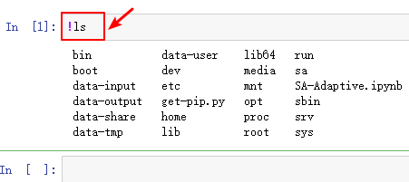 run command line using jupyter notebook
