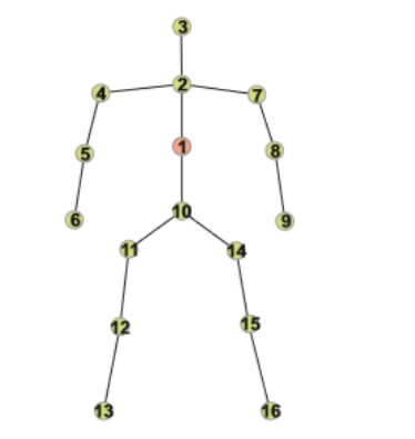 the structure of action recognition