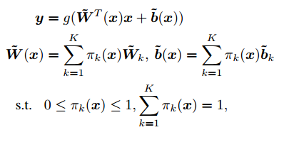 Dynamic Perceptron