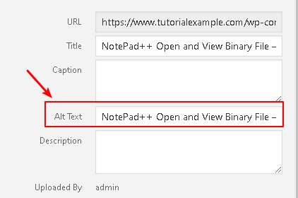 WordPress Add Alt Text to Uploaded Images Automatically - WordPress Tutorial