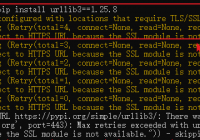 pip is configured with locations that require TLS SSL