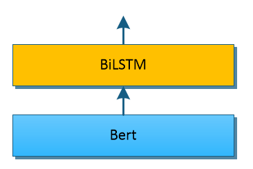 Building a BiLSTM Layer based on Bert Model