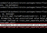 Fix Failed precondition Attempting to use uninitialized value beta2_power