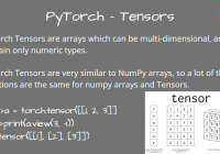 Understand The Difference Between torch.Tensor and torch.tensor - PyTorch Tutorial