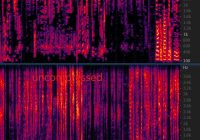 python check a wav is compressed or not