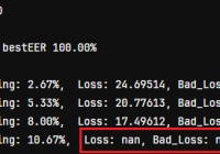 NAN in Pytorch Loss Function